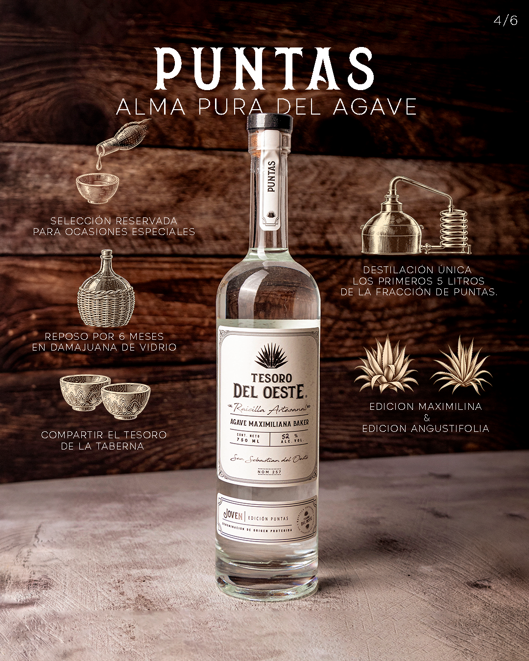 puntas de raicilla: un tesoro de la taberna