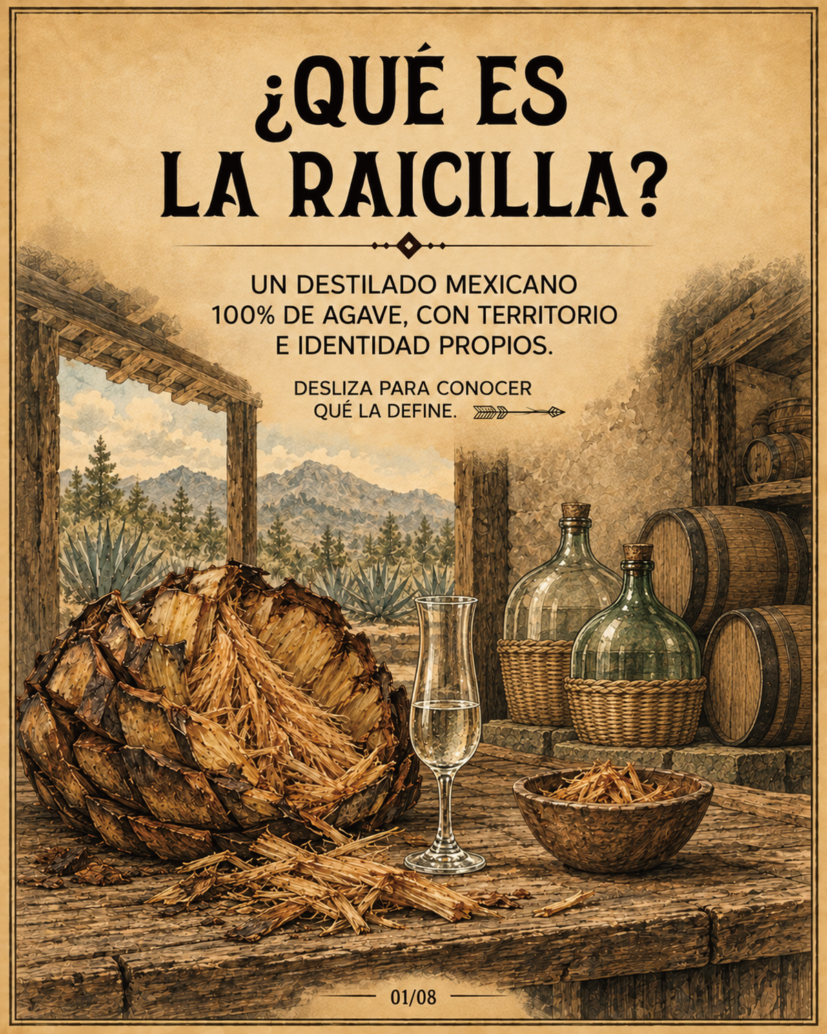 ¿Qué es la raicilla? Origen y elaboración